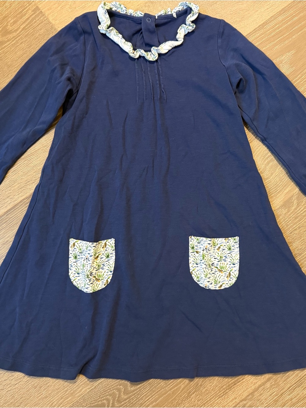 The Proper Peony Parkside Pima Fall Ducks LS Pocket Dress
